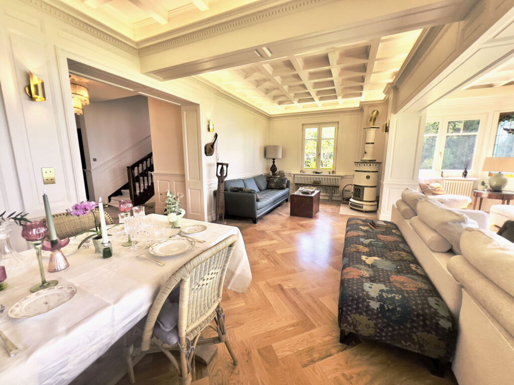 Elegant Wood Stove Corner - Domaine Les Cedres du Leman