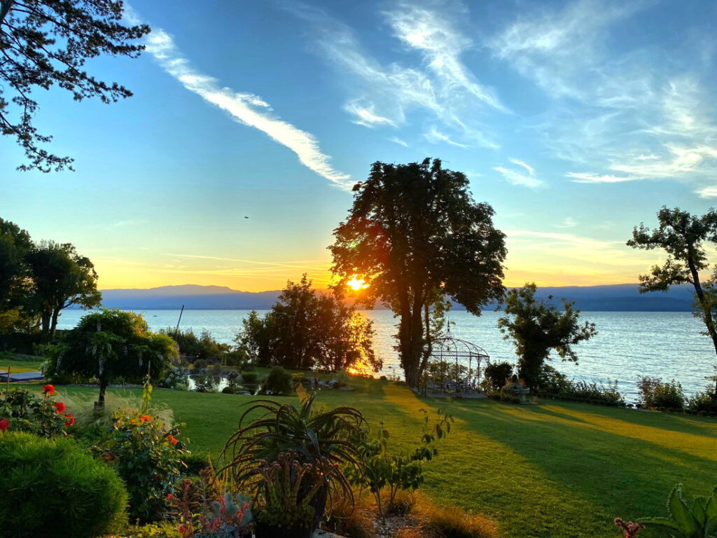Evening Light on the Garden and Lake Geneva - Domaine Les Cedres du Leman